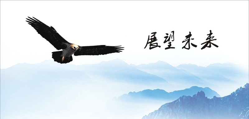 汇敏源的发展战略